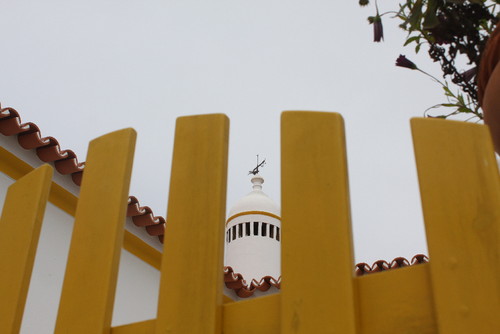 IMG_9947.JPG IMG_9947.JPG