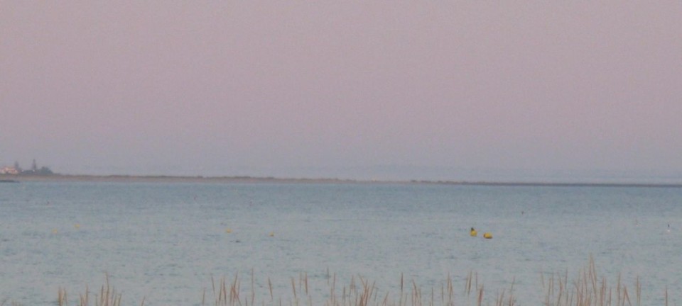 1961801_10200728417652403_4709694564868832545_o.jp