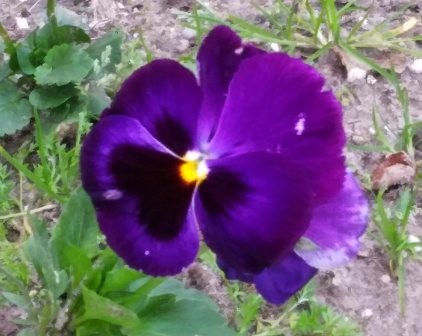 156849526_3691291147652830_5645560876984011348_o.j 156849526_3691291147652830_5645560876984011348_o.j