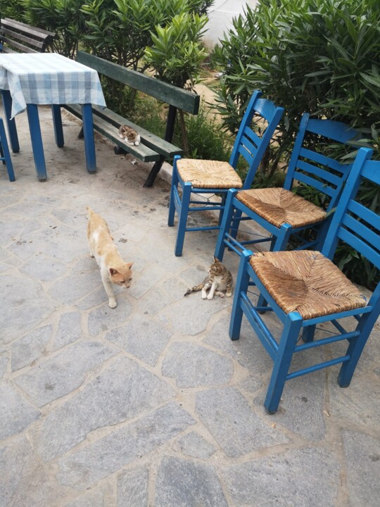 WhatsApp Image 2023-05-31 at 10.59.51 (1).jpeg