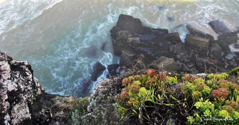 13_02_2022 12_24_39.jpg