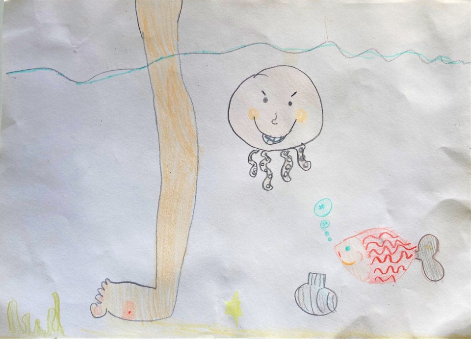 Alforreca.jpg Alforreca.jpg