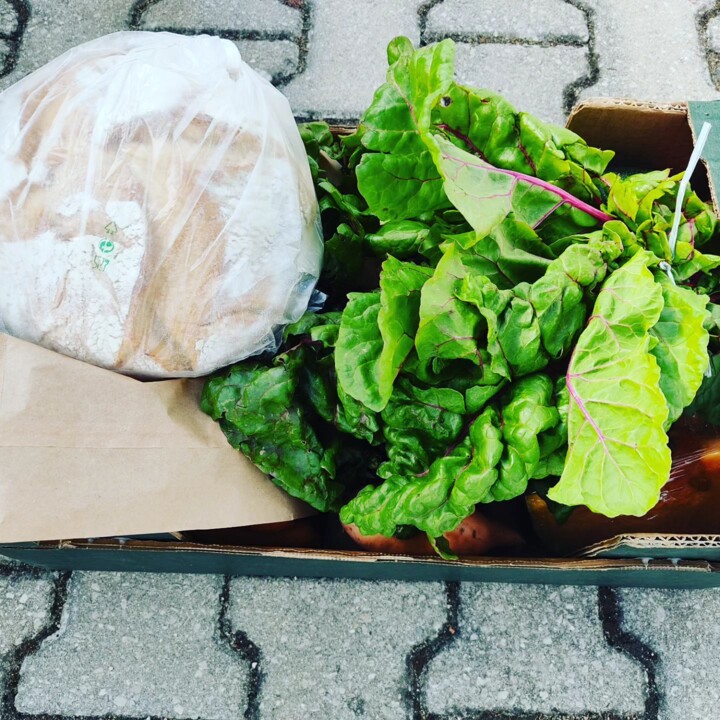 376210485_686466696844077_8598150360380232186_n.jp