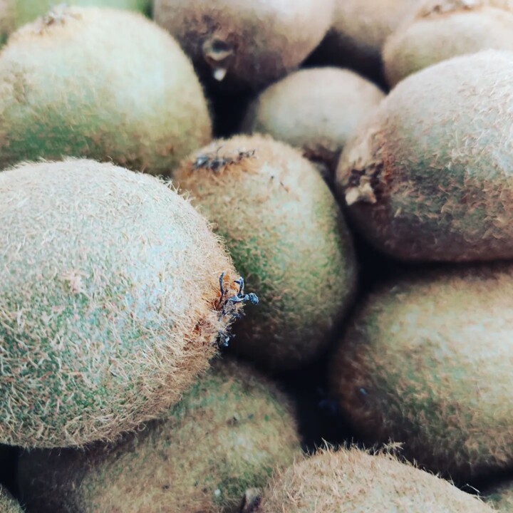 328827929_1399656204109257_6012492999705521680_n.j