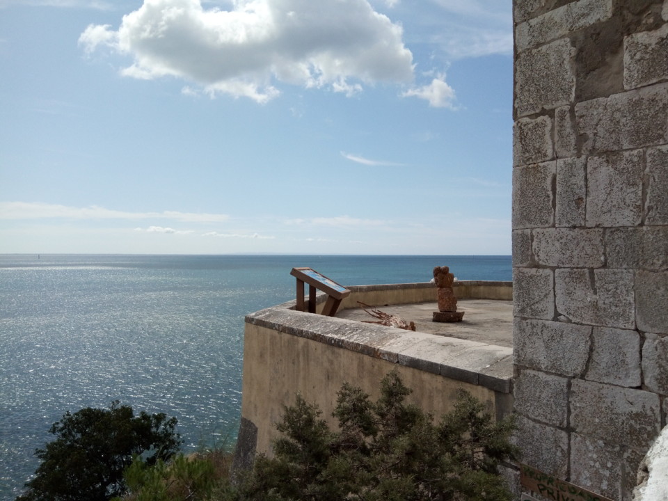 IMG_20190811_110759.jpg IMG_20190811_110759.jpg