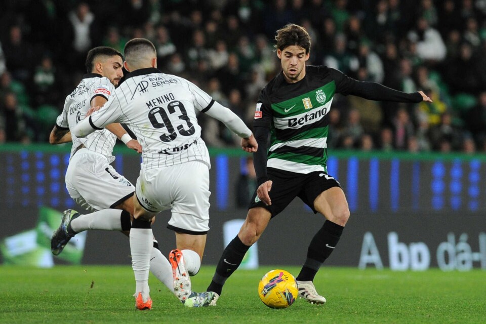 Daniel Bragança SCP.jpg