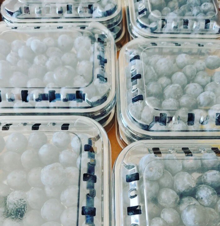 287444051_2333197046820043_6143235165831183473_n.j