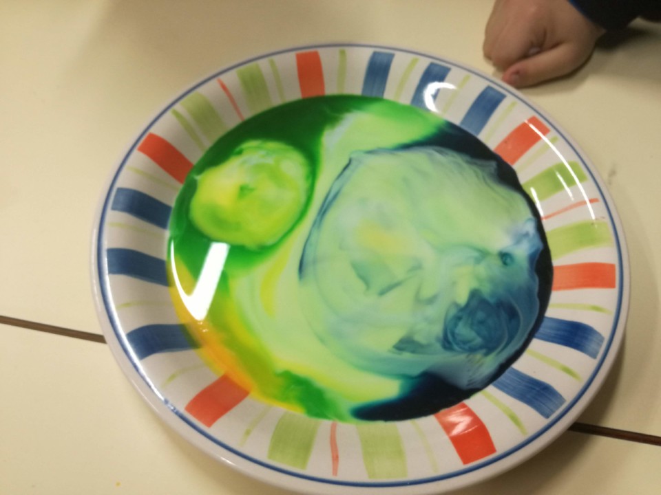 IMG_20200130_155402.jpg IMG_20200130_155402.jpg