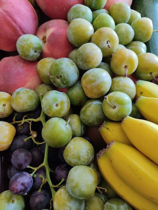 116871806_1770969433042810_5431412335674078377_o.j