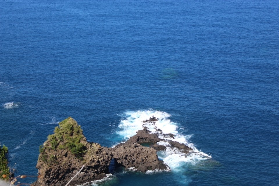 20190930151505_IMG_0825_resized_20191018_092924079