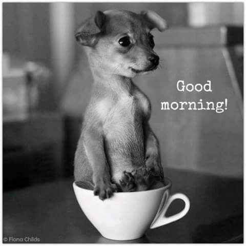 14627977_10211176553154077_1461660610_n.jpg 14627977_10211176553154077_1461660610_n.jpg