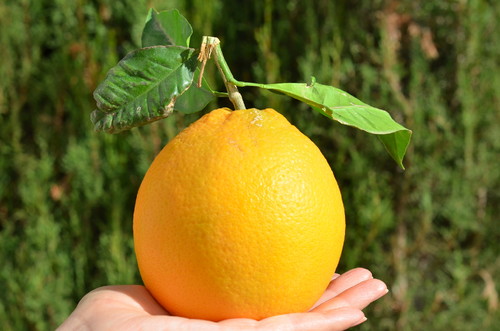 DSC_0757.JPG DSC_0757.JPG