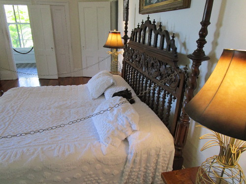 Gatos de Hemingway.JPG