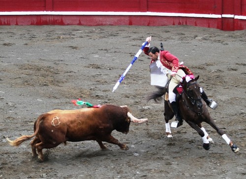 Vitor Ribeiro a iniciar a função...