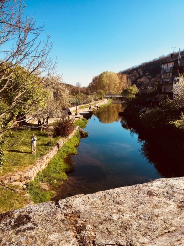 IMG_7807.jpg IMG_7807.jpg