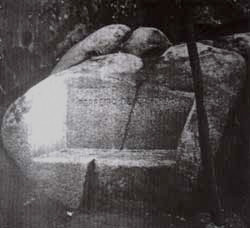 ferreira de castro, túmulo.jpg