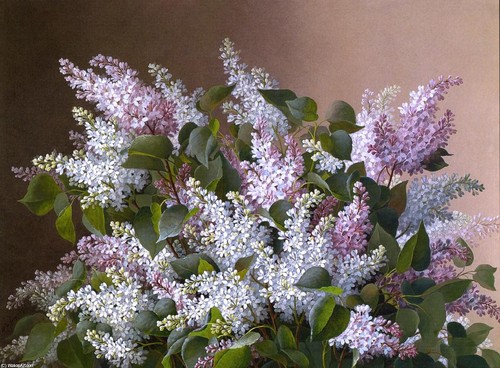 Raoul-De-Longpre-Spray-of-Lilacs.jpg