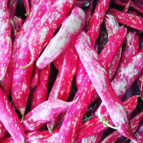 37571955_1155607701245656_6688986374642597888_n.jp