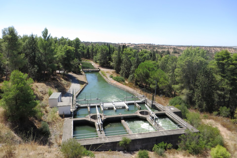 IMG_4028.JPG IMG_4028.JPG