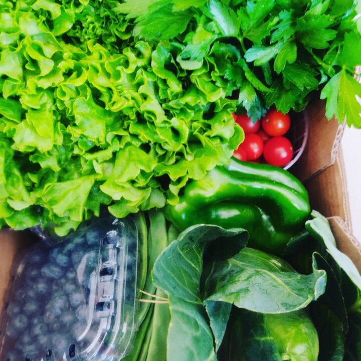 348279116_197633609376504_6603571658042464672_n.jp