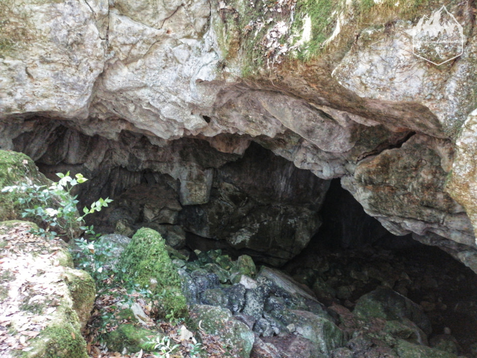 Photo_1596312320904.jpg Photo_1596312320904.jpg