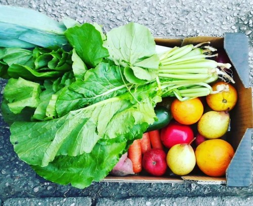 43247243_1219694701503622_2246210296001593344_n.jp 43247243_1219694701503622_2246210296001593344_n.jp