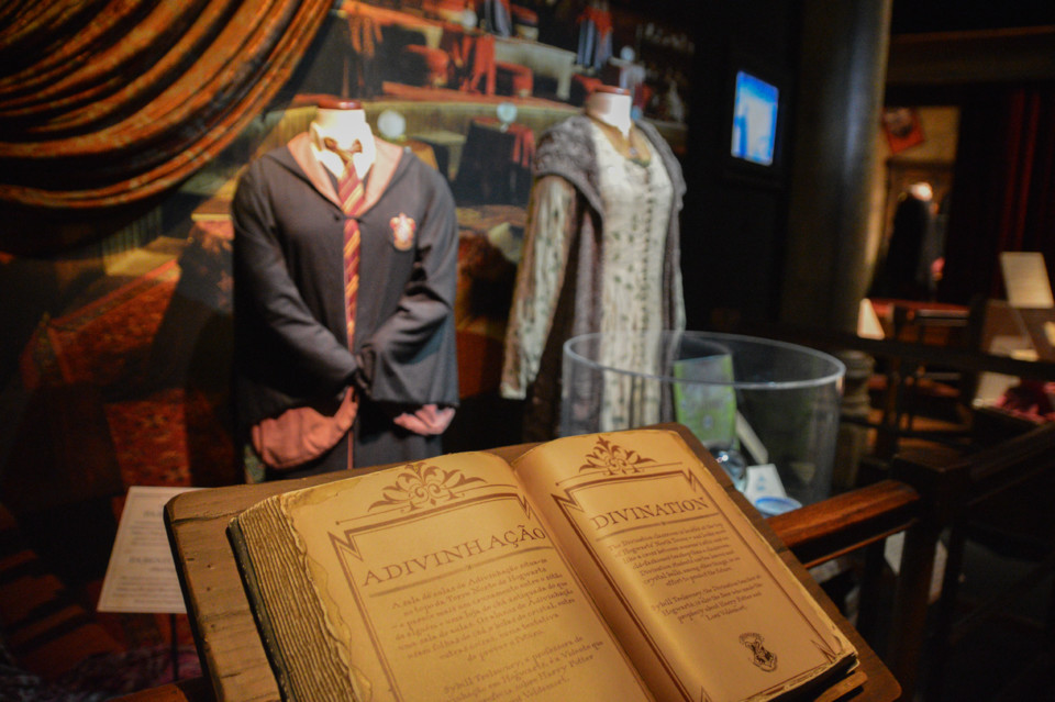 ExpHarryPotter_Mar2020-17.jpg ExpHarryPotter_Mar2020-17.jpg