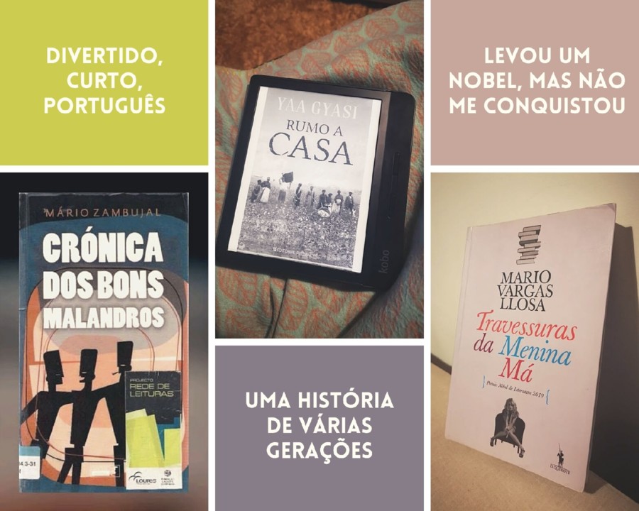Maria das Leituras - Livros de Janeiro 2021 - Blog mariadaspalavras.com