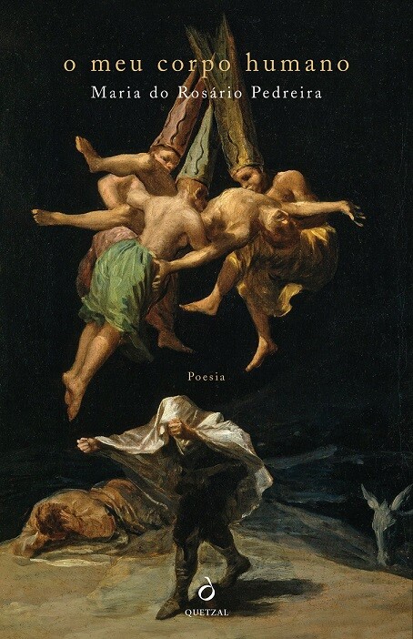 O meu corpo humano.jpg