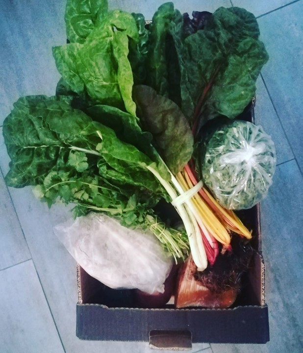 79339546_1543040715835684_1306466293381070848_o.jp 79339546_1543040715835684_1306466293381070848_o.jp