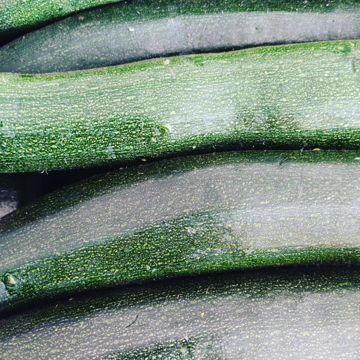 438664272_817318890425523_3641205051166469003_n.jp