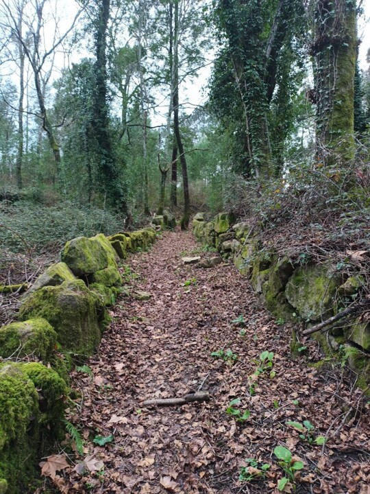 Não me canso disto caminhada7.jpg