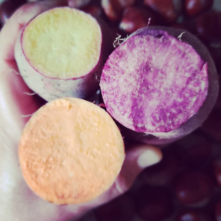 124416080_1866371150169304_8279000148170875648_o.j