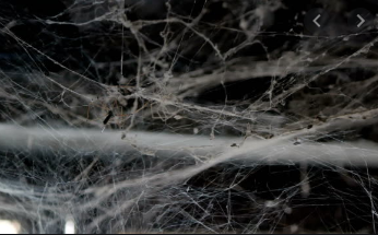 aranha.PNG aranha.PNG