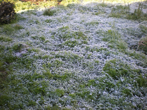 IMGP8638.JPG IMGP8638.JPG