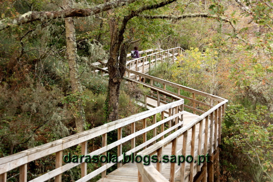 Ribeira_Sacra_24.JPG