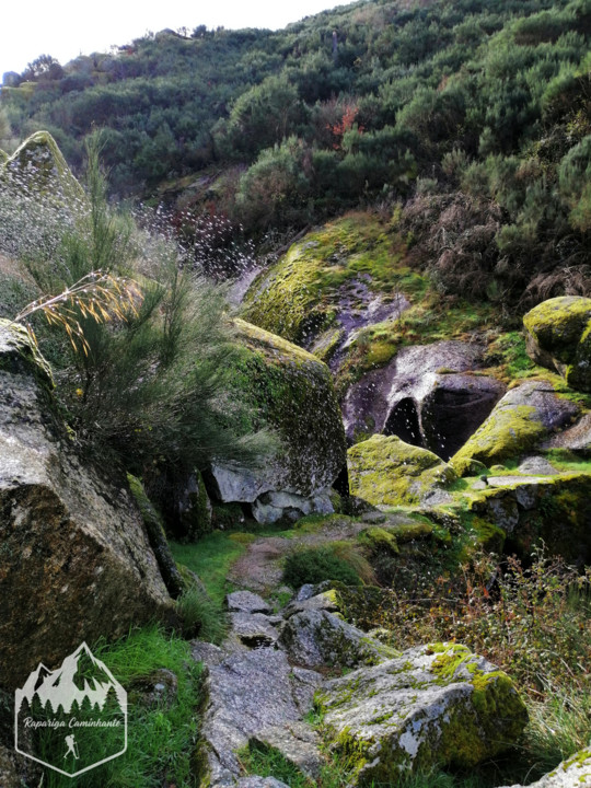 Photo_1582917695840.jpg Photo_1582917695840.jpg