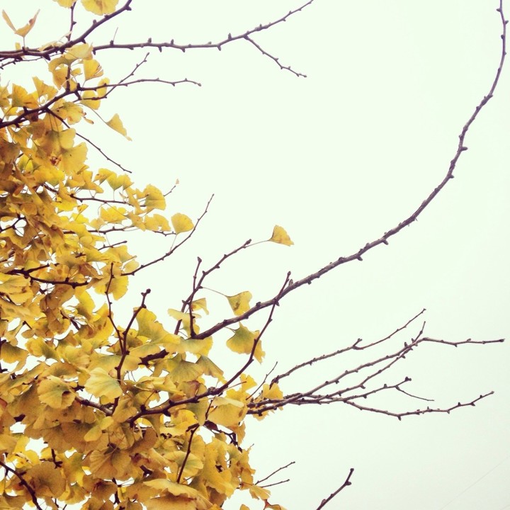 Viver é a coisa mais rara do mundo. A maioria das