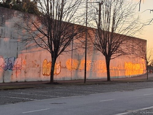 24a_Caminhada_à_Tarde (10).jpg