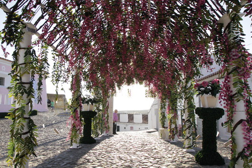IMG_2110 Campo Maior