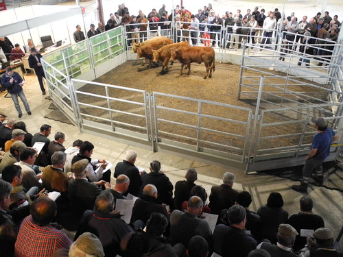 DSCN8656.JPG DSCN8656.JPG