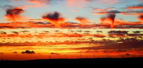 IMG_7653_ (2)_ (3)_tonemappedb.jpg