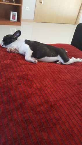 20160828_133259.jpg 20160828_133259.jpg