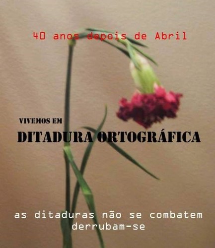 DITADURA ORTOGRÁFICA.jpg
