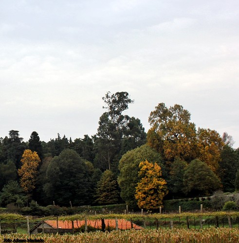 CONTRASTES.JPG CONTRASTES.JPG