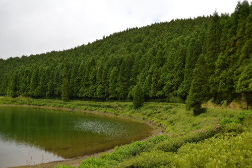 Açores_cam (31).jpg