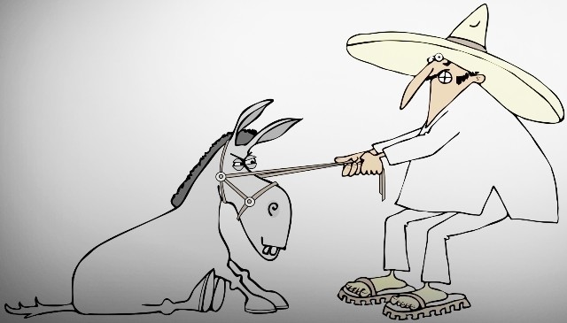 Teimosia-copy.jpg Teimosia-copy.jpg