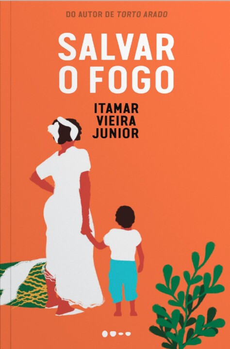 Capa Salvar o fogo.jpg