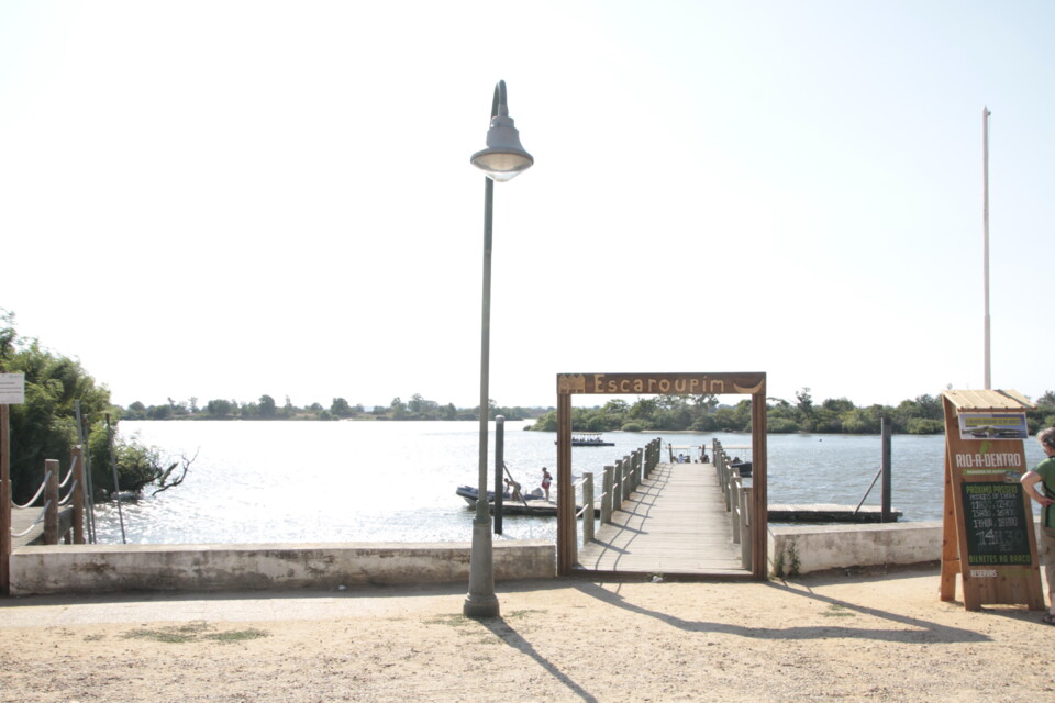_MG_7310.JPG