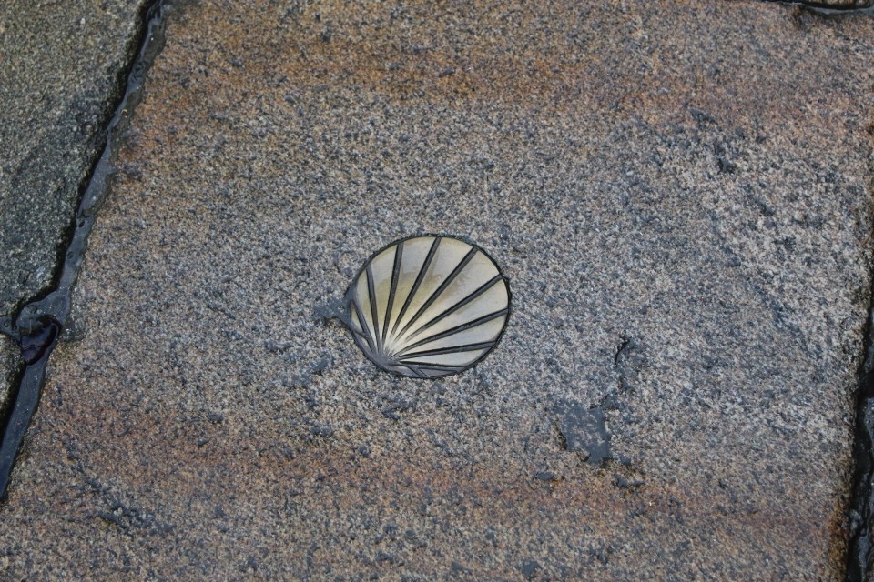 20191123121526_IMG_0915_resized_20191211_094407129